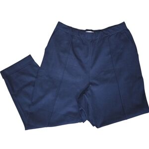 ❤️Everlane Navy Blue Pants☆